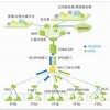 什么是FTTB？和FTTH有什么区别？