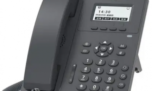插网线的电话机，叫SIP电话机，支持视频通话及远程办公